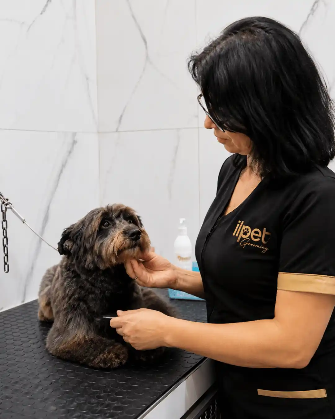 Cão tranquilo durante banho com manejo cuidadoso na Ilpet Grooming no Ipiranga